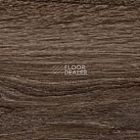 Ecoclick Rich клеевой 2.5мм NOX-2077 Дуб Визна фото 2 | FLOORDEALER